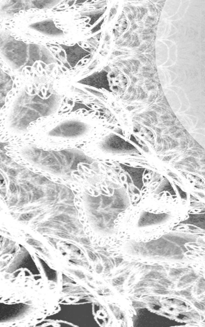 LETTERS To MYSELF JOURNAL - Black and White Wedding Lace: a 42-page journal with exquisite artwork on every page.