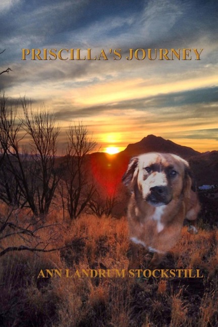 PRISCILLAS JOURNEY