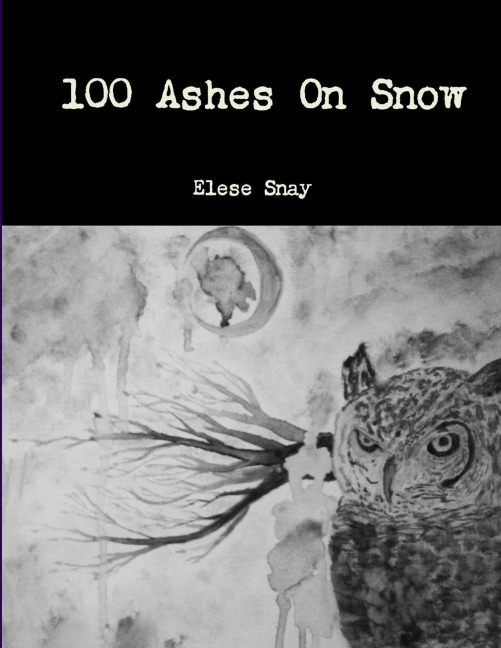 100 Ashes On Snow