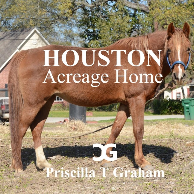 Houston Acreage Home