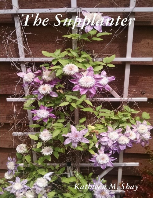The Supplanter