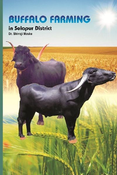 BUFFALO FARMING  in Solapur District