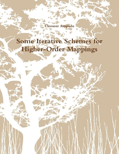 Some Iterative Schemes for Higher-Order Mappings