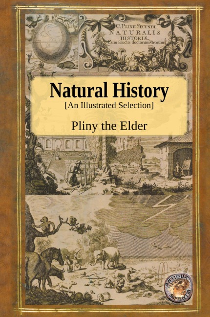 Fairy Tales, Dreams and Other Heresies
