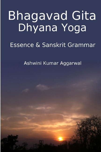 Bhagavad Gita Dhyana Yoga - Essence & Sanskrit Grammar