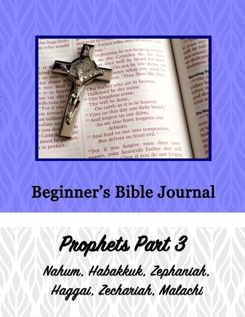 Beginners Bible Journal: Prophets Part 3