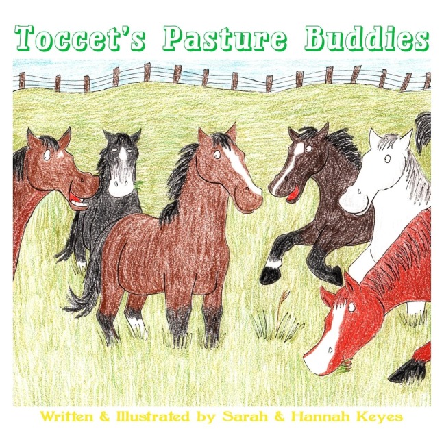 Toccets Pasture Buddies