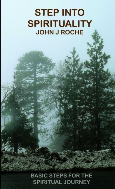Step into Spirituality: basic Steps