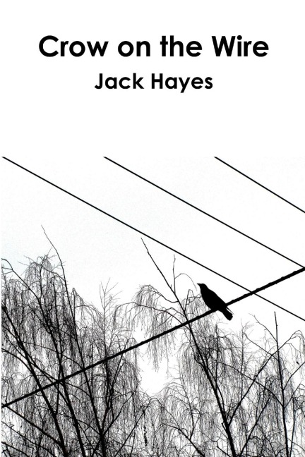 Crow on the Wire