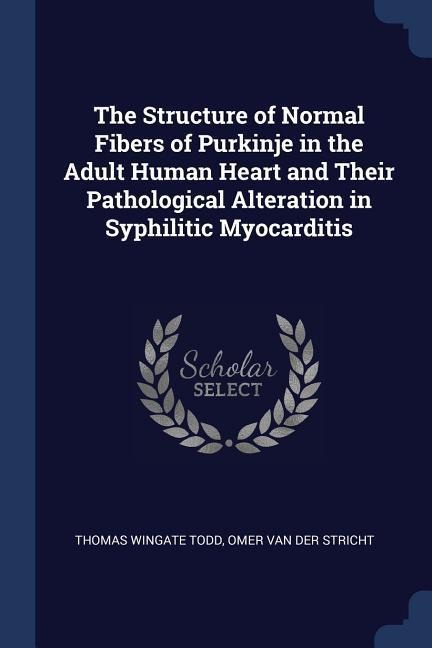 The Structure of Normal Fibers of Purkinje in the Adult Human Heart and Their Pathological Alteration in Syphilitic Myocarditis