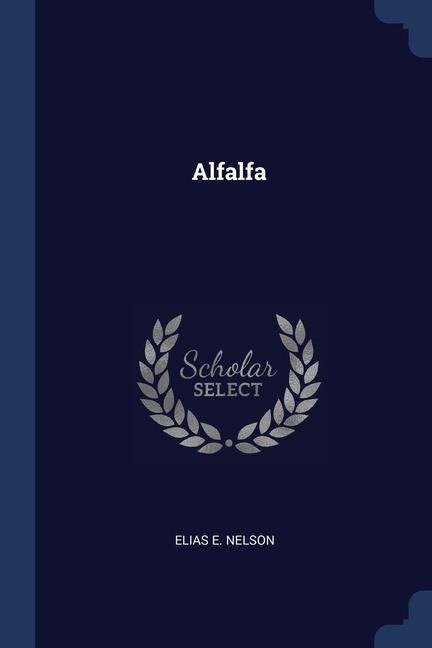 Alfalfa