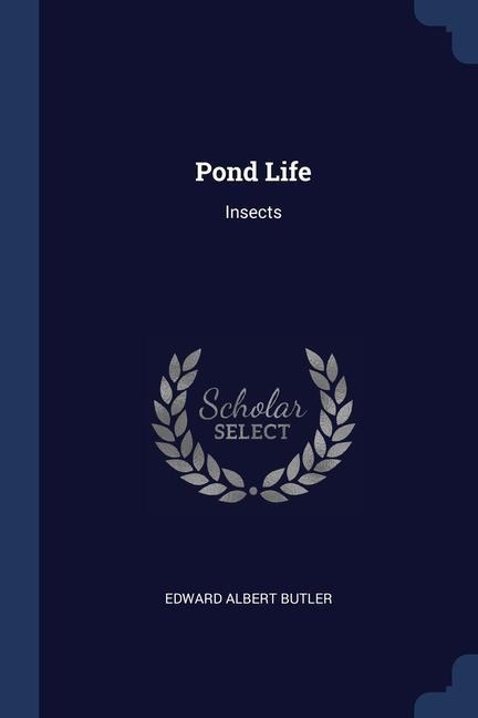 Pond Life: Insects