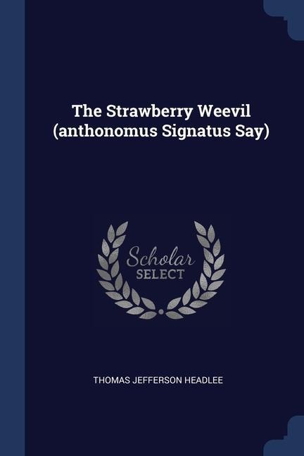 The Strawberry Weevil (anthonomus Signatus Say)