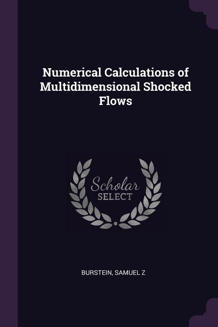 Numerical Calculations of Multidimensional Shocked Flows