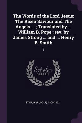 The Words of the Lord Jesus: The Risen Saviour and The Angels ...; Translated by ... William B. Pope; rev. by James Strong ... and ... Henry B. Smith: 3