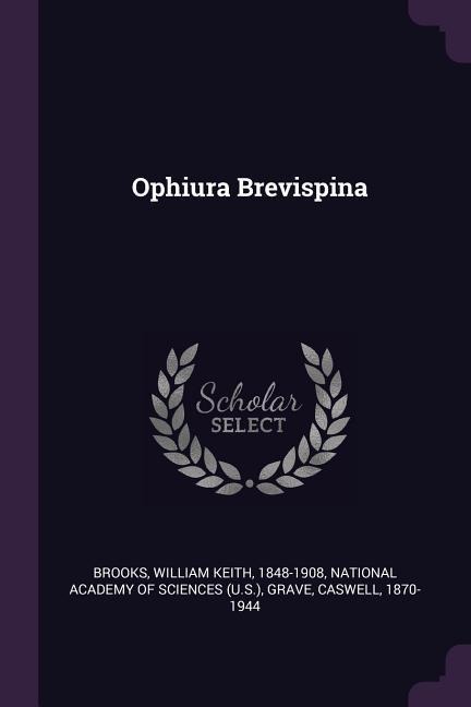 Ophiura Brevispina