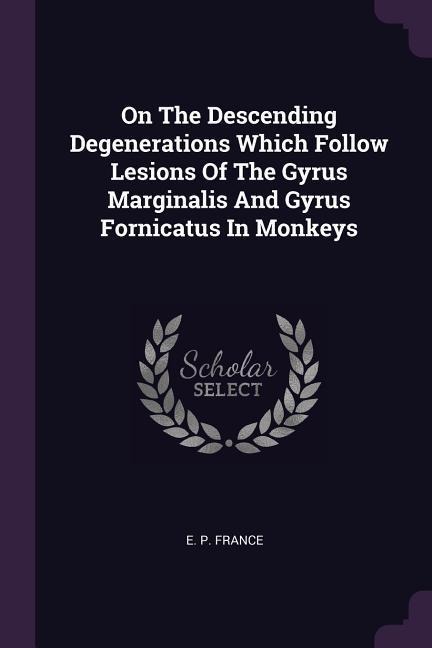 On The Descending Degenerations Which Follow Lesions Of The Gyrus Marginalis And Gyrus Fornicatus In Monkeys