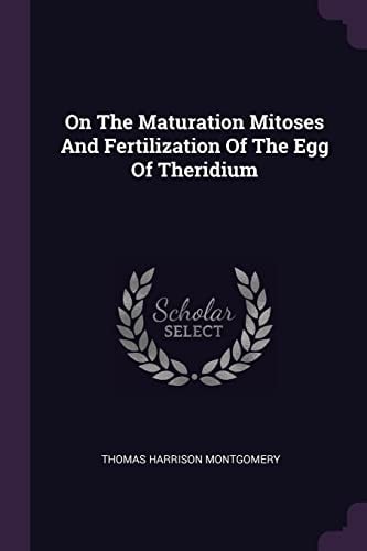 On The Maturation Mitoses And Fertilization Of The Egg Of Theridium
