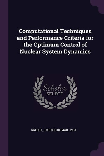 Computational Techniques and Performance Criteria for the Optimum Control of Nuclear System Dynamics