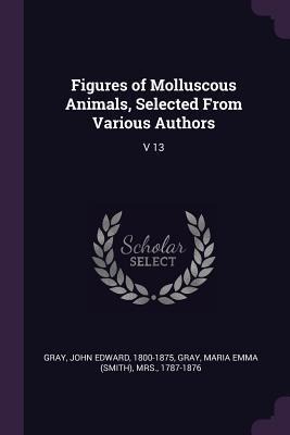 Figures of Molluscous Animals, Selected From Various Authors: V 13