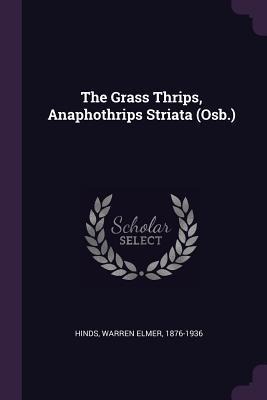 The Grass Thrips, Anaphothrips Striata (Osb.)