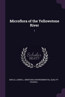 Microflora of the Yellowstone River: 1