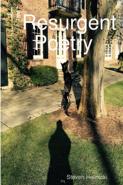 The Resurgent Man: Poetry of Enlightenment