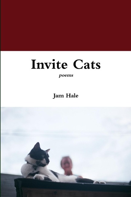 Invite Cats