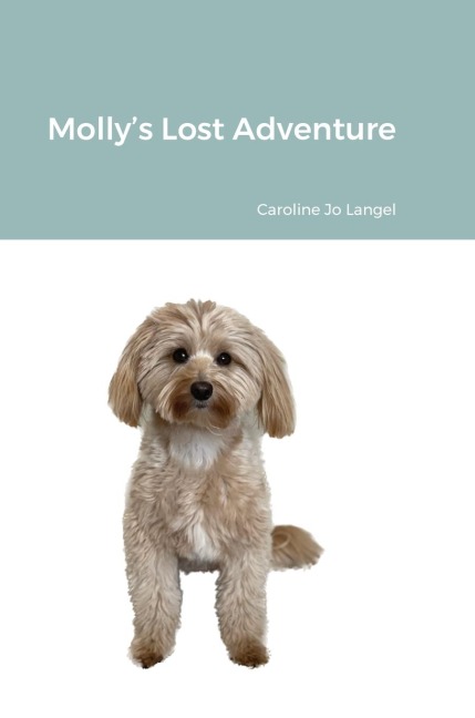 Mollys Lost Adventure