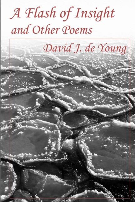 A Flash of Insight and Other Poems