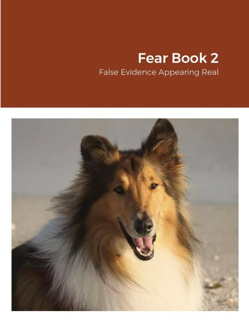 Fear Book 2: False Evidence Appearing Real
