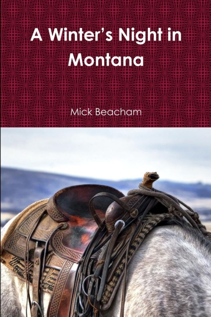 A Winters Night in Montana