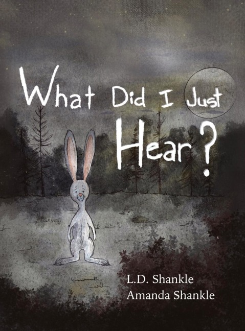 What Did I Just Hear?: A childrens book about dealing with feelings of fear