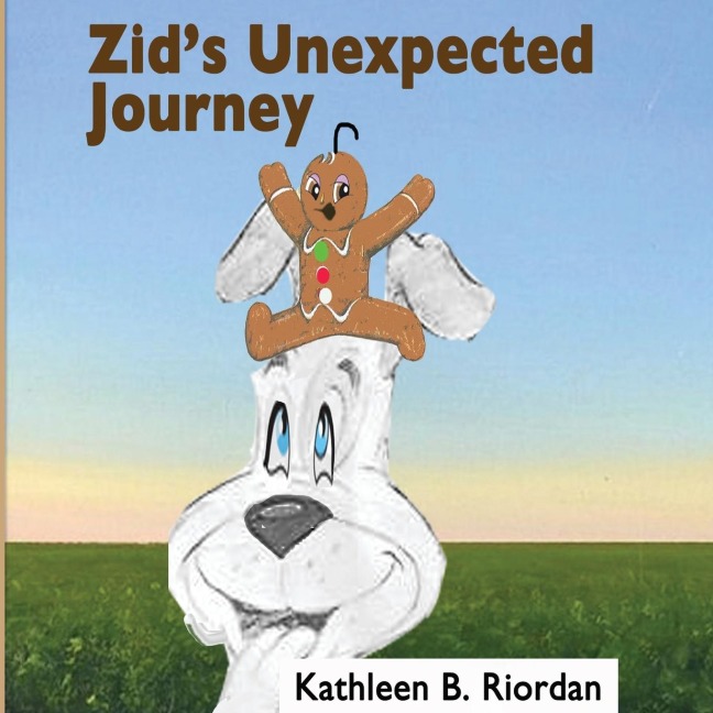 ZIDS UNEXPECTED JOURNEY