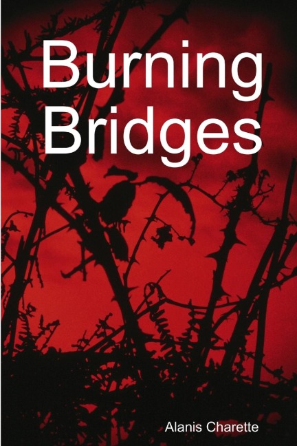 Burning Bridges
