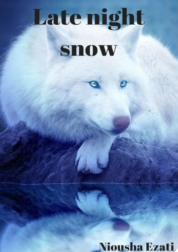 Late Night Snow