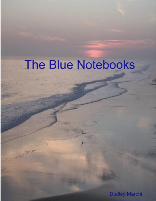 The Blue Notebooks