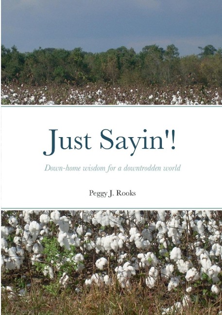 Just Sayin!: Down-home wisdom for a downtrodden world