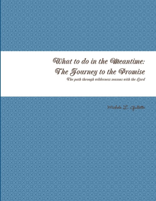 What to do in the Meantime: The Journey to Gods Promises