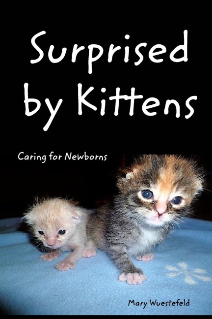 Surprised By Kittens: Caring for Newborns