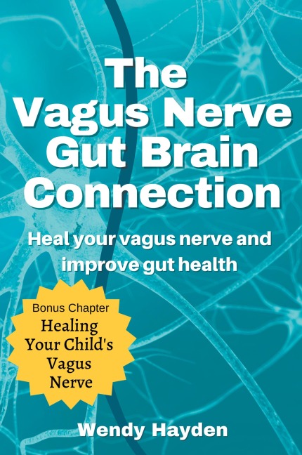 The Vagus Nerve Gut Brain Connection