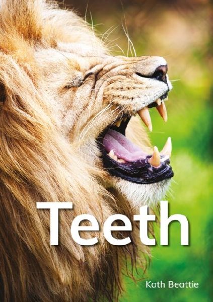 Teeth