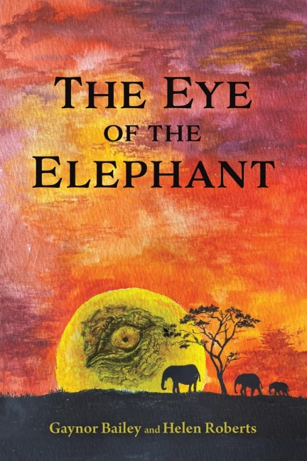 The Eye of the Elephant: And What Do You See?