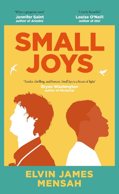 Small Joys: A Buzzfeed Amazing New Book You Need to Read ASAP