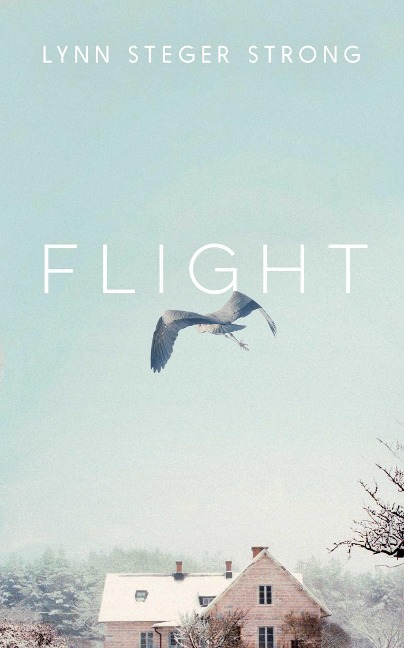 Flight: Emotionally transcendent - Boston Globe