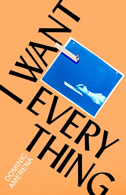 I Want Everything