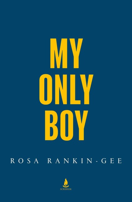 My Only Boy: The unforgettable love story and state-of-the-nation thriller from the author of Dreamland