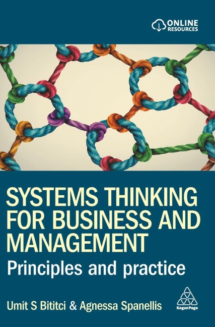 Systems Thinking for Business and Management: Principles and Practice