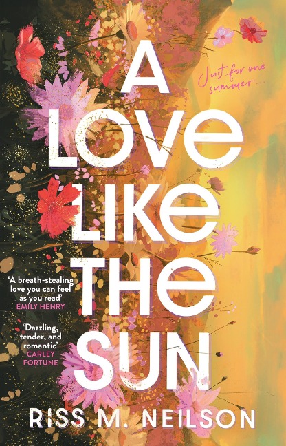 A Love Like the Sun: The tender and unforgettable romantic debut