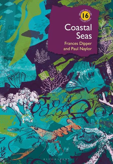 Coastal Seas